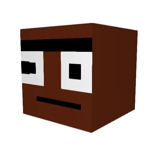 Leonk1029 Minecraft avatar head, 3D render