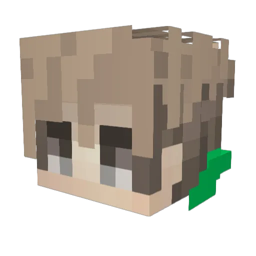 Leonplay11 Minecraft avatar head, 3D render