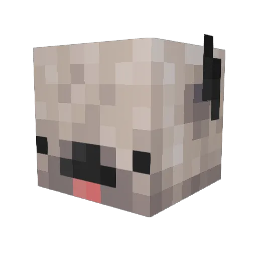 Leontizz Minecraft avatar head, 3D render