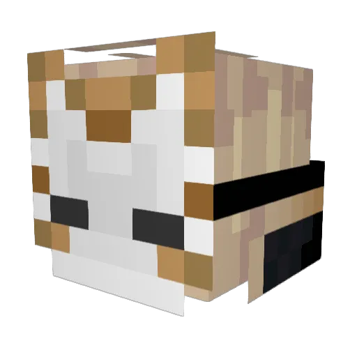 Leonwu0427 Minecraft avatar head, 3D render