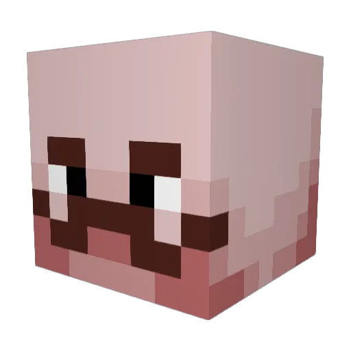Leonx254 Minecraft avatar head, 3D render