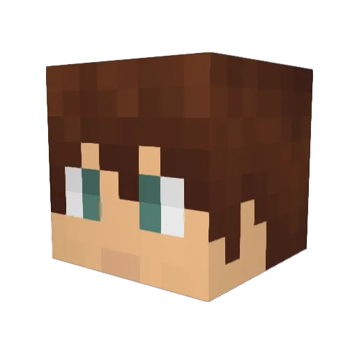Leooel9 Minecraft avatar head, 3D render