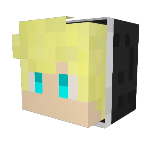 Leoonn12 Minecraft avatar head, 3D render