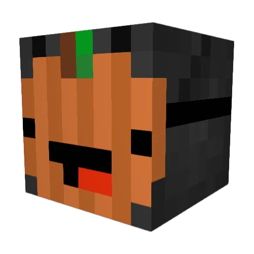 Leooo5L Minecraft avatar head, 3D render