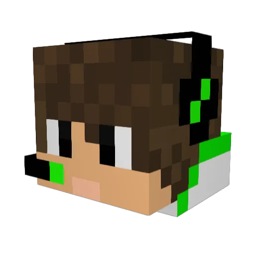 LeoooxdBR Minecraft avatar head, 3D render