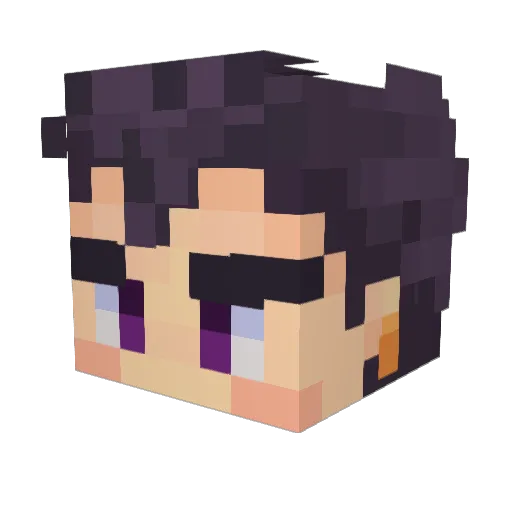 Leopa6 Minecraft avatar head, 3D render