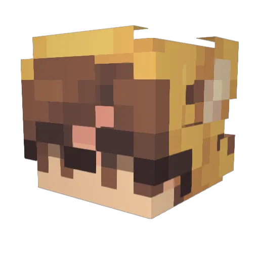 LeopardJay Minecraft avatar head, 3D render