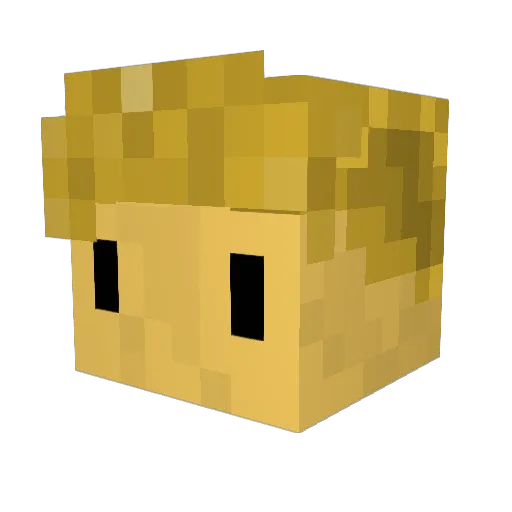LeopoldTheGolden Minecraft avatar head, 3D render