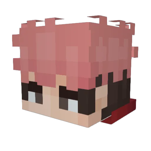 Leoruuz Minecraft avatar head, 3D render