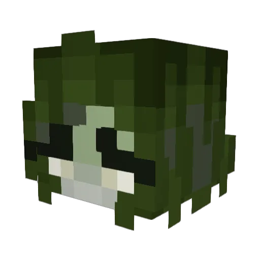LeosFlare Minecraft avatar head, 3D render