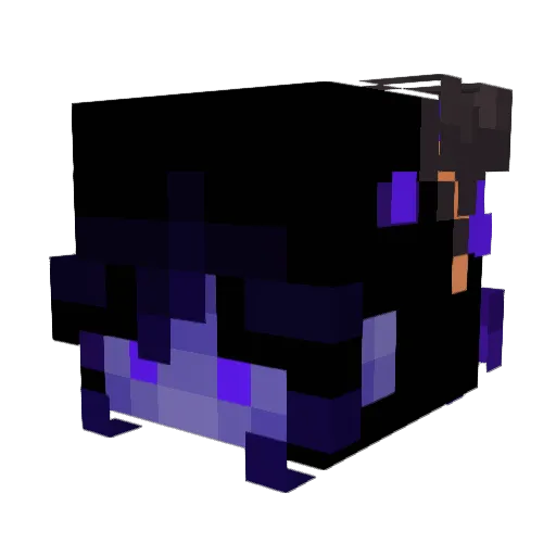 Leosans1253 Minecraft avatar head, 3D render