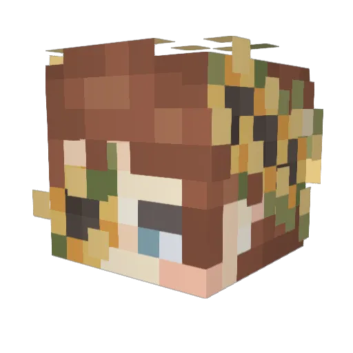 Leosaur_21 Minecraft avatar head, 3D render