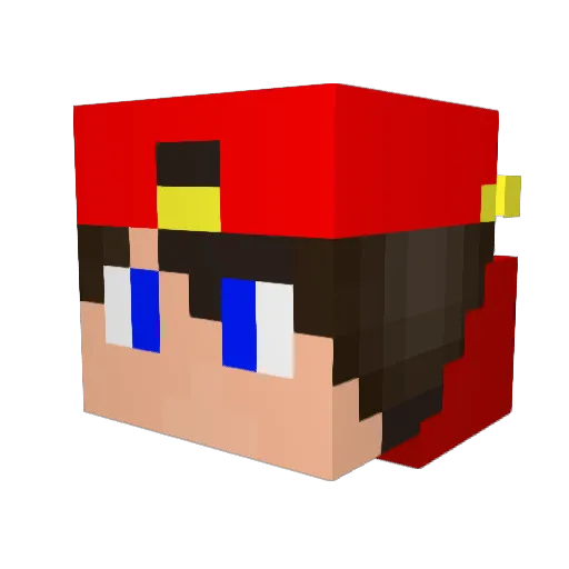 Leosousa1 Minecraft avatar head, 3D render