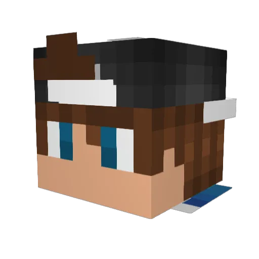 Leostar07 Minecraft avatar head, 3D render