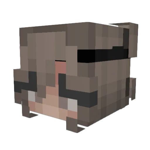 LeotheLeopard11 Minecraft avatar head, 3D render