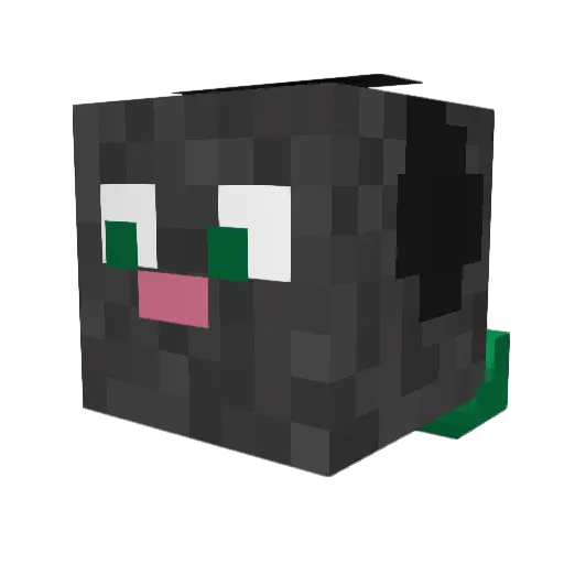 Leothecat24 Minecraft avatar head, 3D render