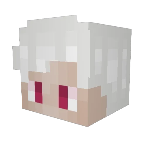 Leothecat890 Minecraft avatar head, 3D render