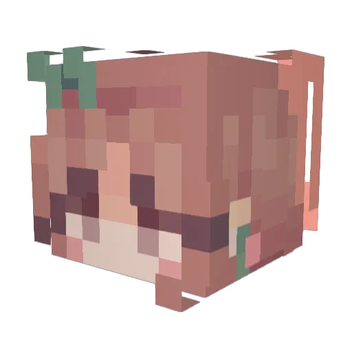 Leoyeee Minecraft avatar head, 3D render