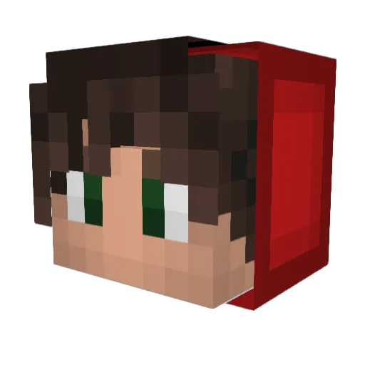 Leozin1001 Minecraft avatar head, 3D render