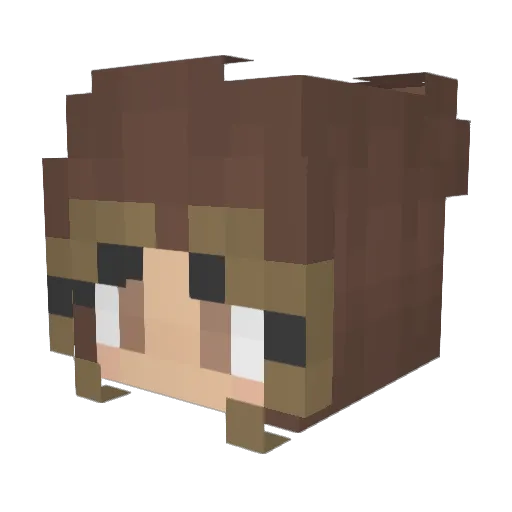 Lepan22 Minecraft avatar head, 3D render