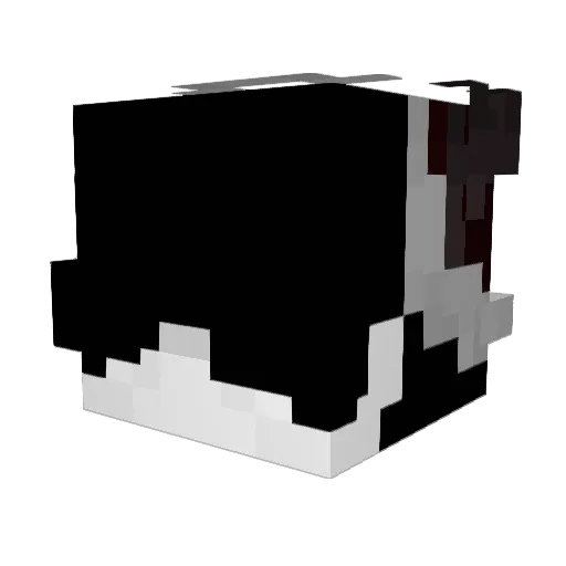 Leparchaunboy12 Minecraft avatar head, 3D render