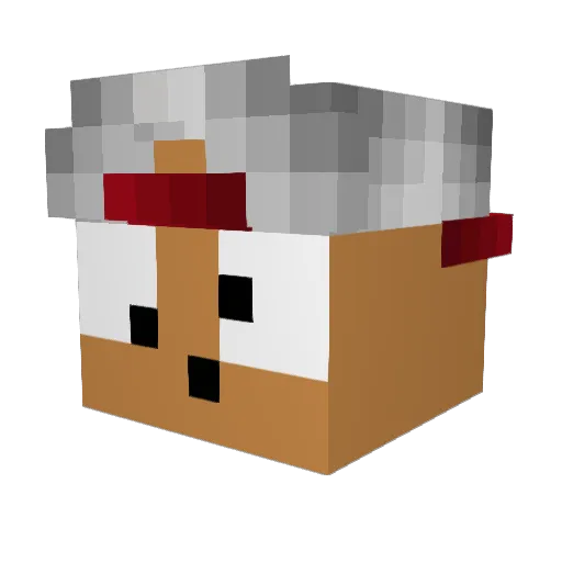 LepisBr Minecraft avatar head, 3D render