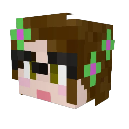 Leptonychotes Minecraft avatar head, 3D render