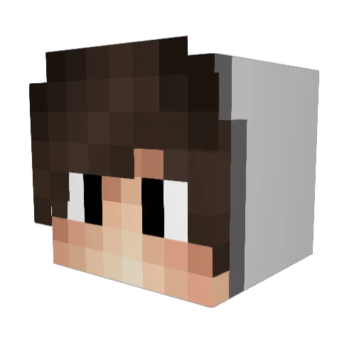 Lerax_YT Minecraft avatar head, 3D render