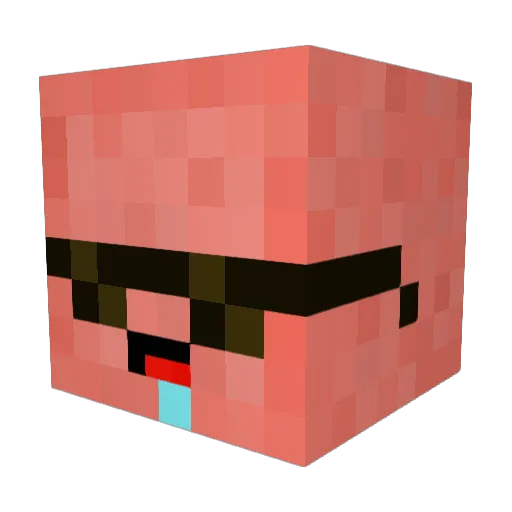 Lerd123 Minecraft avatar head, 3D render