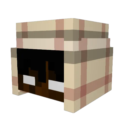 Lerdin007 Minecraft avatar head, 3D render
