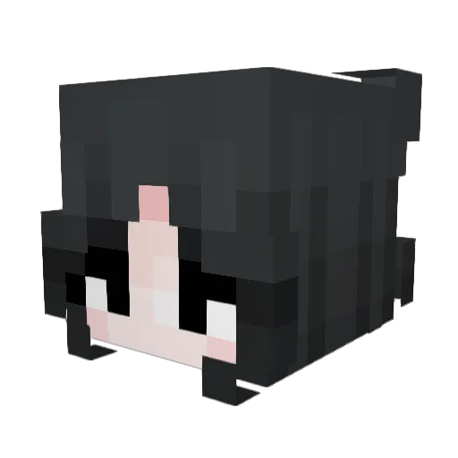 Lerfey Minecraft avatar head, 3D render