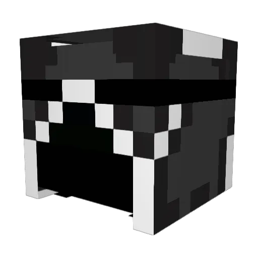 Lerkan00 Minecraft avatar head, 3D render