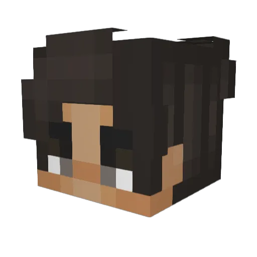 Leroy677 Minecraft avatar head, 3D render