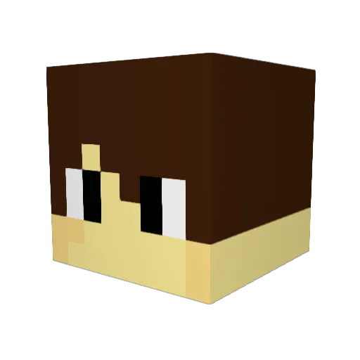 Leroytjeeeee Minecraft avatar head, 3D render