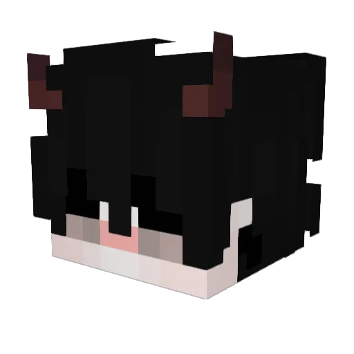 Lerry17 Minecraft avatar head, 3D render