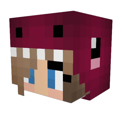 LesKBCestPasBon Minecraft avatar head, 3D render