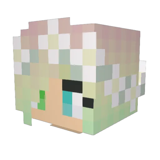 Les_Fleurs Minecraft avatar head, 3D render