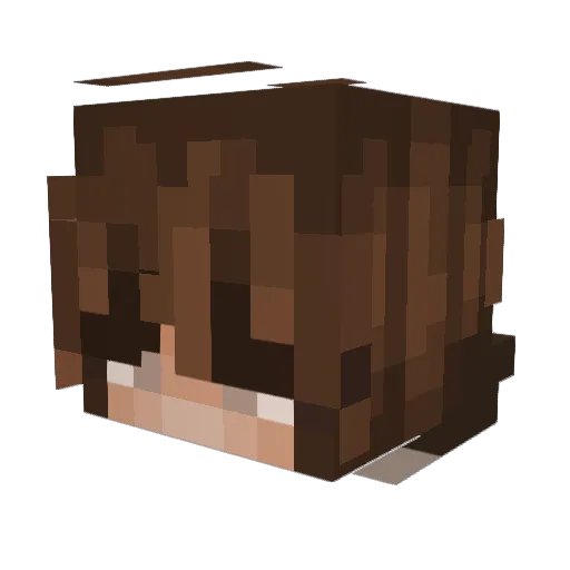 Les_Papillons Minecraft avatar head, 3D render