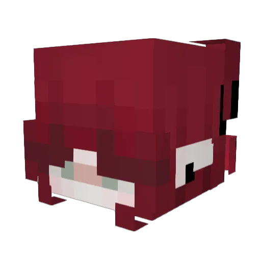 Lesa1206 Minecraft avatar head, 3D render