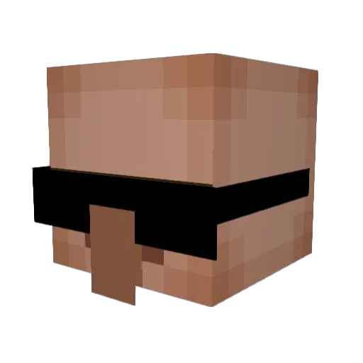 Lesage_1 Minecraft avatar head, 3D render