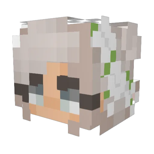 LesbianAdmin Minecraft avatar head, 3D render