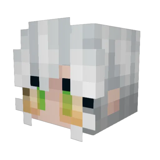 Lesc0o Minecraft avatar head, 3D render