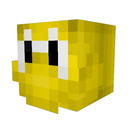 Leshedetamal Minecraft avatar head, 3D render