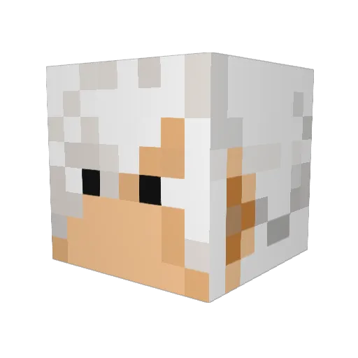 LeshokerAM Minecraft avatar head, 3D render