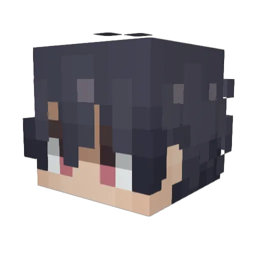 LesleNone_rE Minecraft avatar head, 3D render