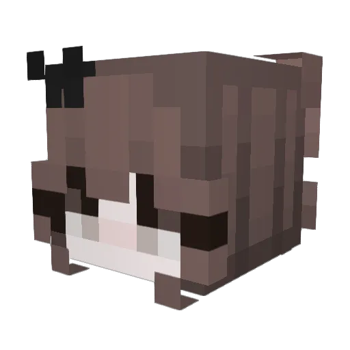 Lesleeee Minecraft avatar head, 3D render