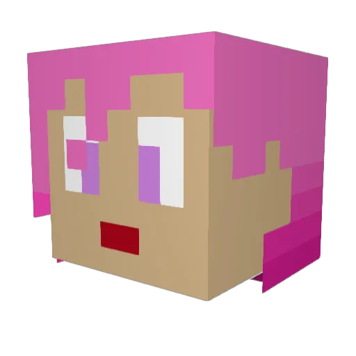Lesnibits Minecraft avatar head, 3D render