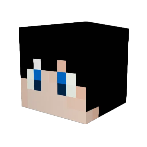 Lesquire Minecraft avatar head, 3D render