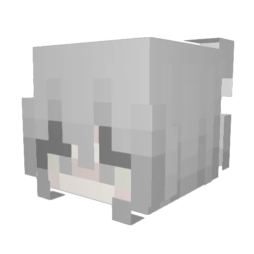 Less_arv Minecraft avatar head, 3D render