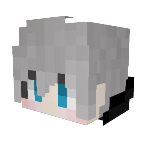 Lesser_Cafe Minecraft avatar head, 3D render